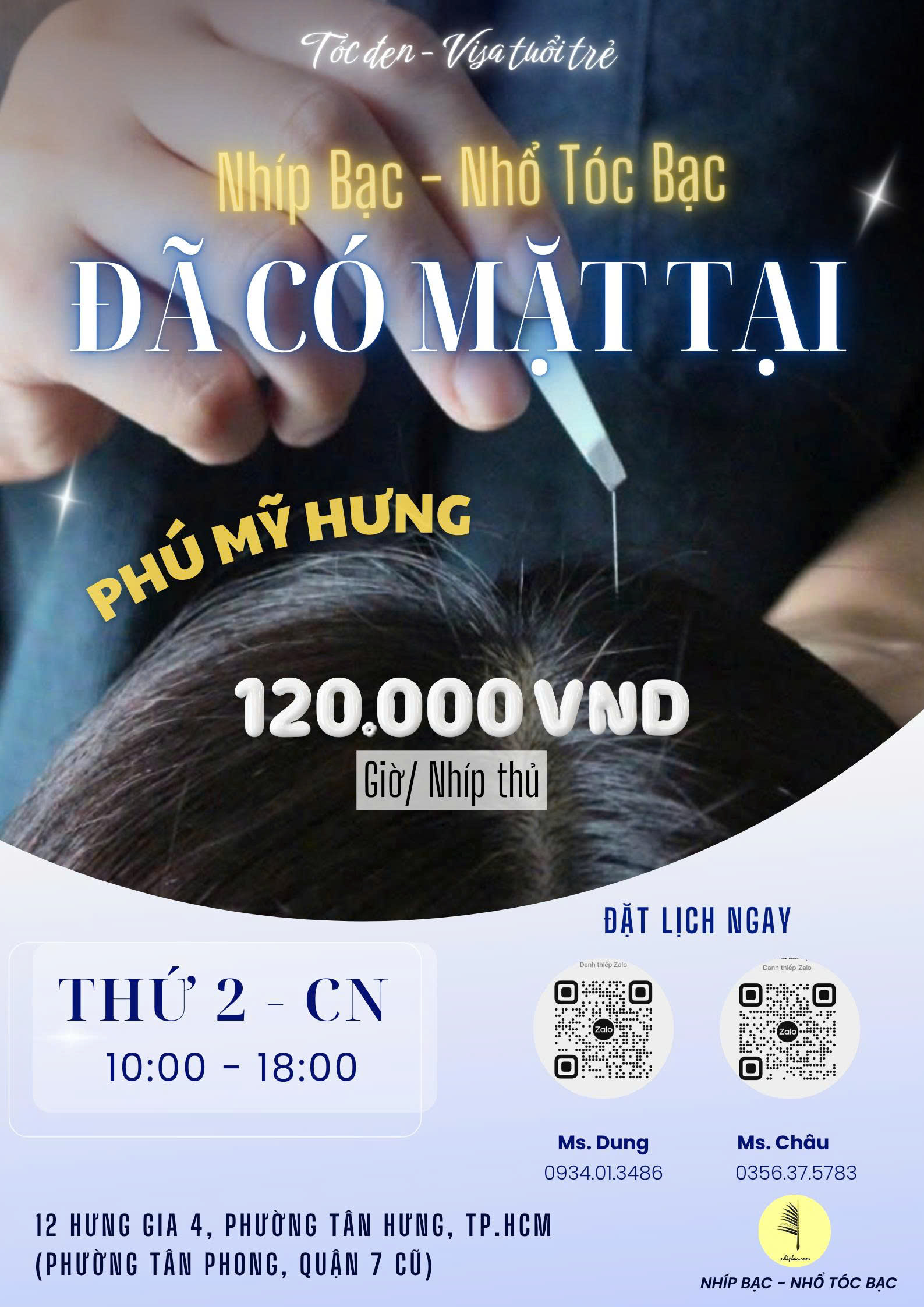 Poster dịch vụ Nhíp Bạc - Nhổ tóc bạc